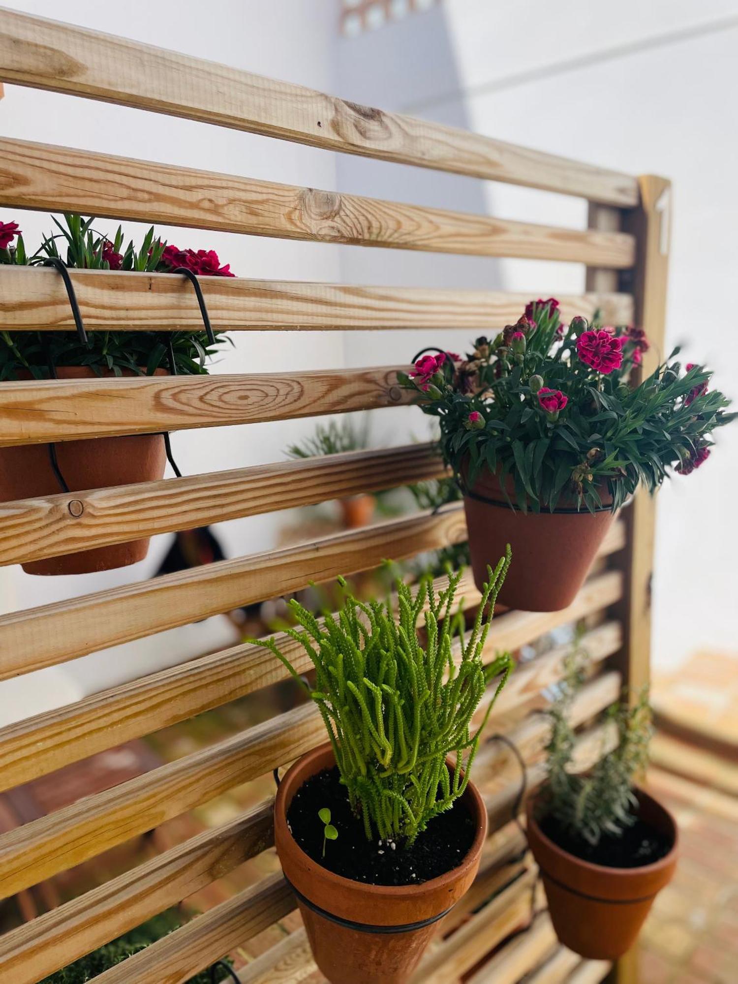 Apartament Casa Valenciana Con Terraza Zewnętrze zdjęcie